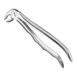 Extracting Forceps