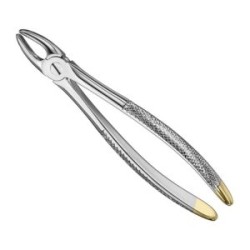 Extracting Forceps Anat