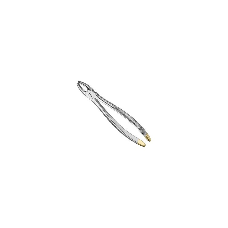 Extracting Forceps Anat