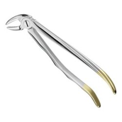 Extracting Forceps Anat