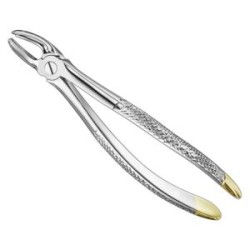 Extracting Forceps Anat