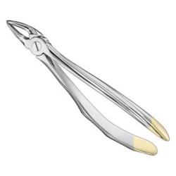 Extracting Forceps Engl