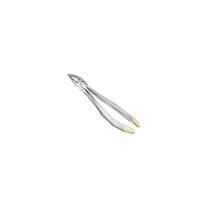 Extracting Forceps Engl