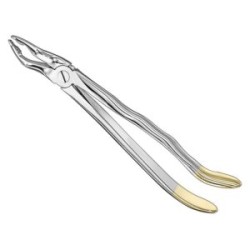 Extracting Forceps Engl