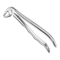 Extracting Forceps Engl