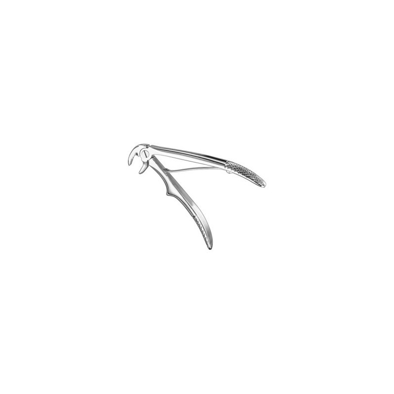 klein Extracting Forceps